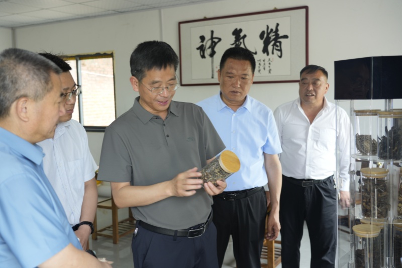 _DSC2010_副本.jpg
